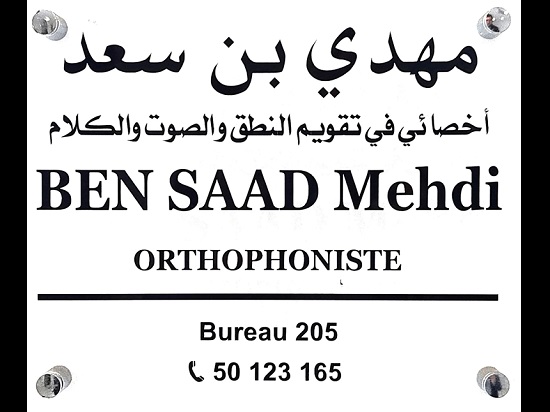 Mehdi BEN SAAD